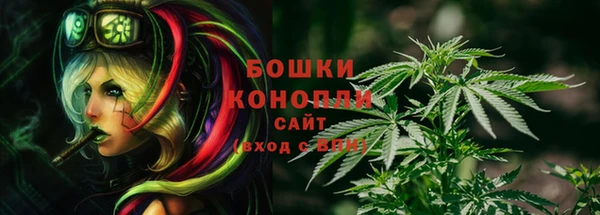 каннабис Аркадак